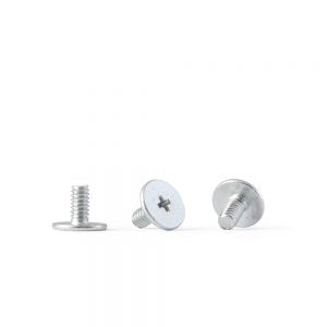 Skruv Pickup Flat m2x4mm 10st